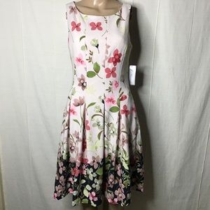 J Howard Dress. Size 6. New